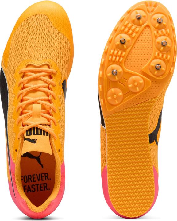 Produktbild Puma evoSPEED Star 9 (41)
