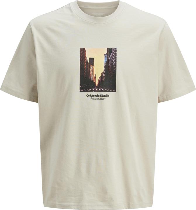 Jack & Jones Jorvesterbro Picture Tee Ss Crew Neck Sn