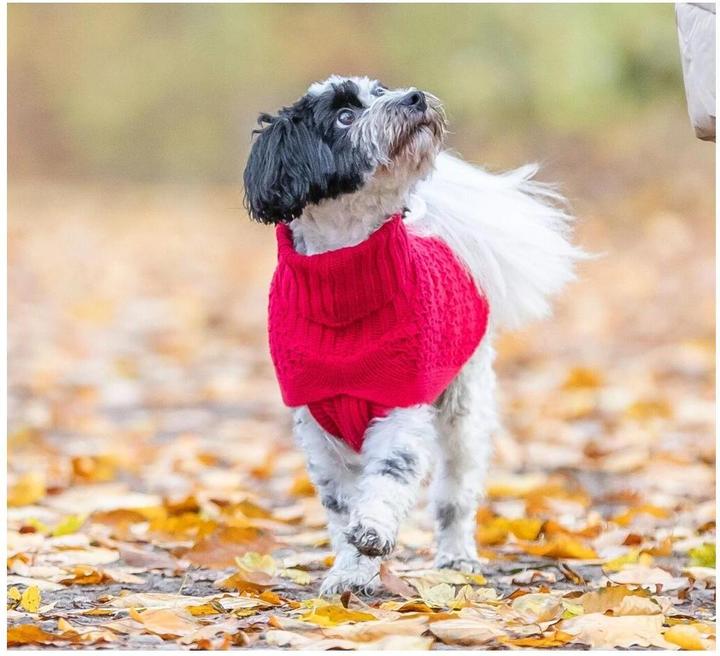 Produktbild Trixie Pullover Norwood XXS, 21 cm, Rot (Hundepullover)