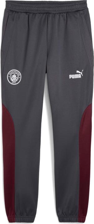 Puma Manchester City 2024/25 Jogginghose