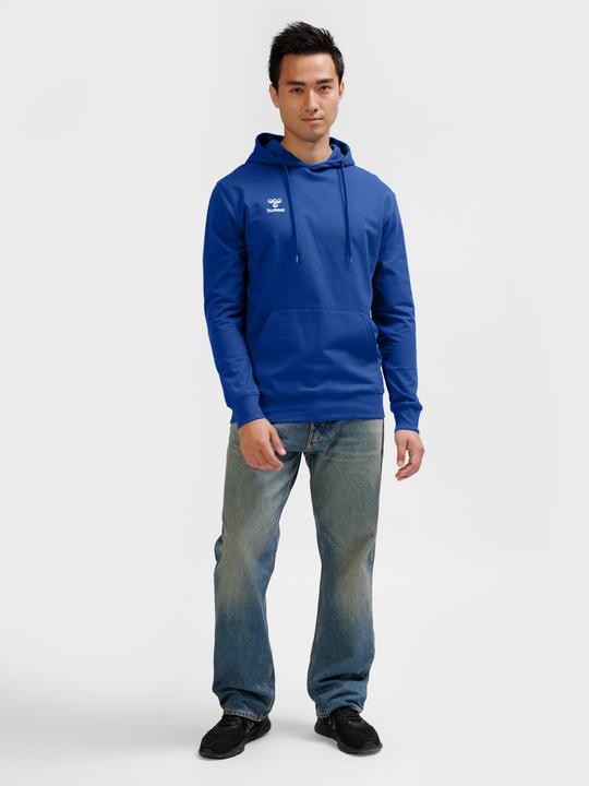 Actual product image hummel HMLGO 2.0 HOODIE (XL)