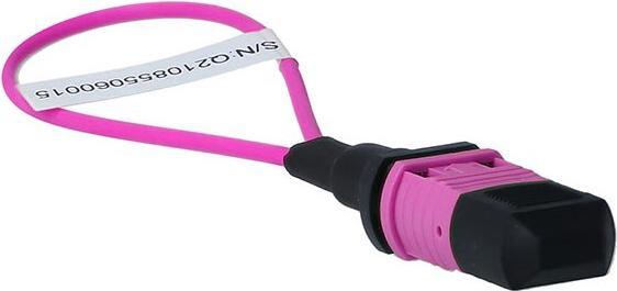 Produktbild BlueLAN BlueOptics Loopback Adapter MPO/MTP Multimode OM4