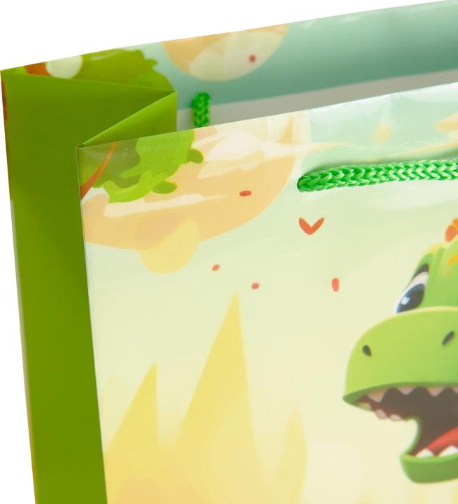 Image du produit Idena Sac cadeau enfant motif dino multicolore 25x9x34cm (Pochette cadeau)