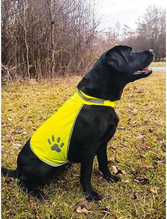 Produktbild Korntex Hundewarnweste (S)