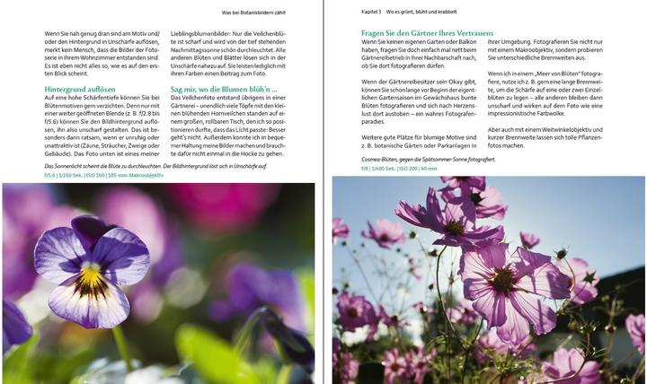 Produktbild Bessere Fotos - leicht gemacht! (Deutsch, Beate Zoellner, 2015)