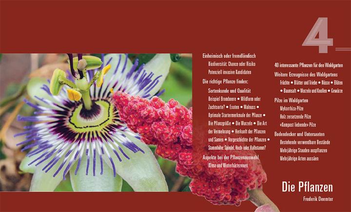 Image du produit Praxisbuch Waldgarten (Allemand, Volker Kranz, Frederik Deemter, 2024)