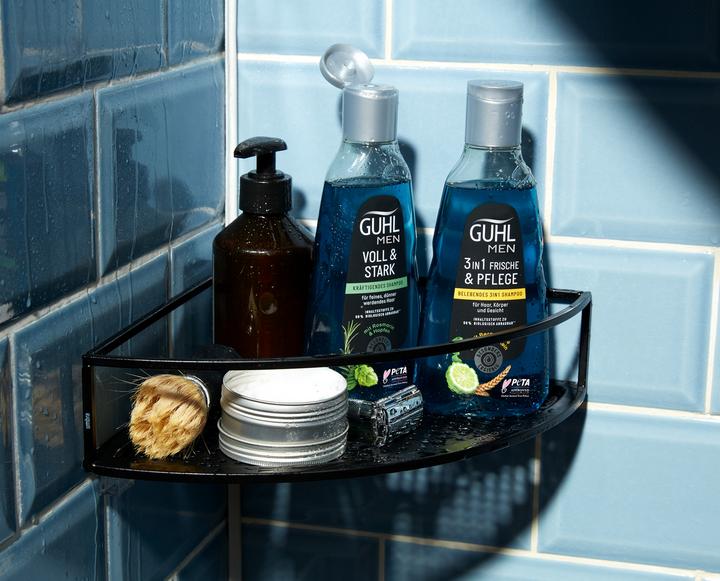 Actual product image Guhl Men 3in1 Shampoo Freshness & Care (250 ml, Liquid shampoo)