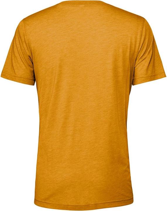 Actual product image Bella Canvas Adult Triblend Tshirt (L)
