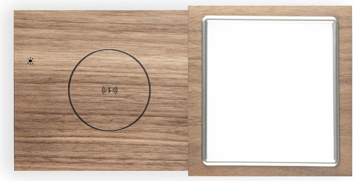 Actual product image Tivoli Audio Revive Walnut/Grey (Electrical connection)