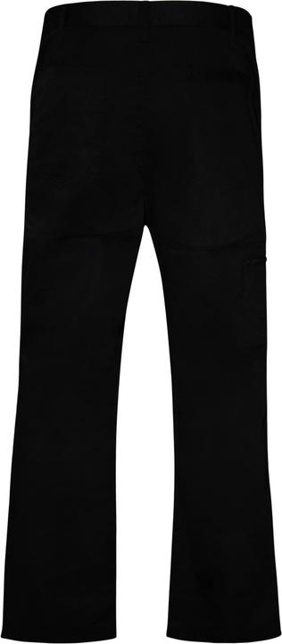 Actual product image Regatta Pro Action work trousers (50 D)