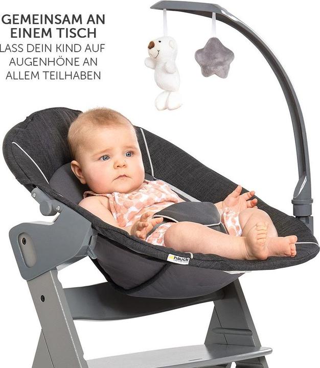 Produktbild Hauck Hochstühle Alpha Plus Grau Newborn Set Deluxe - 4-tlg. Hochstuhl (Hochstuhl)