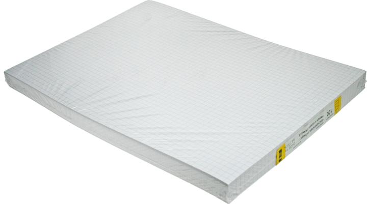 Image du produit Ingold-Biwa papier à dessin quadrillé (A3, Quadrillé, Non contraignant)