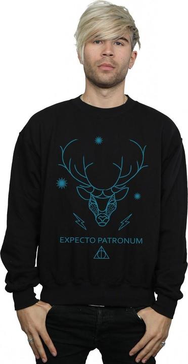 Image du produit - Sweat EXPECTO PATRONUM - Homme (4XL)