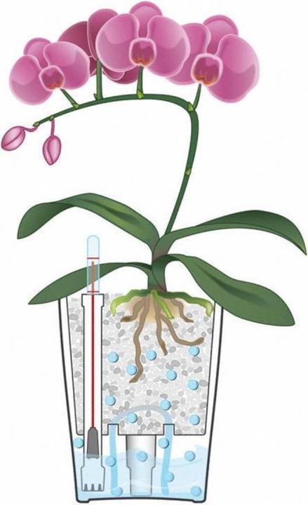 Produktbild Lechuza Mini Deltini (10 cm)