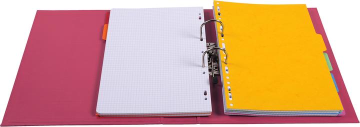 Actual product image Exacompta Folder (A4, 70 mm, 1 Piece)