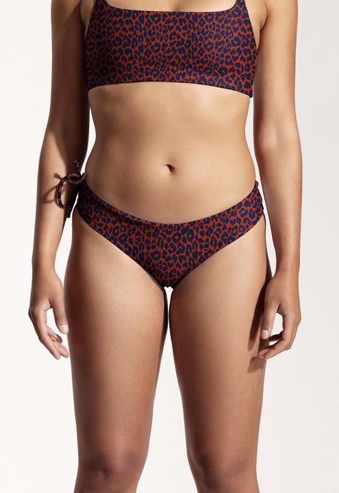 Cool Cat Print