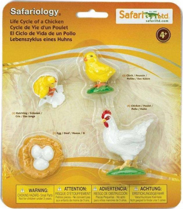 Produktbild Safari Lebenszyklus eines Huhn