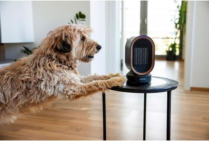 Actual product image Lauben Table fan & heater 2in1 600BB LBHFMDFH60BBA
