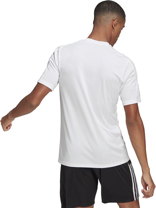 Actual product image adidas Squadra 21 Jersey Short Sleeve (L)
