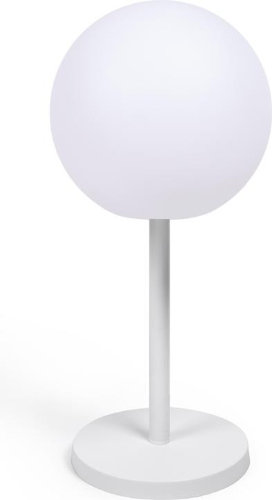 Bianco