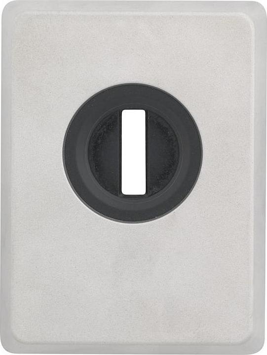 Image du produit Abus Plaque blindée PZS70 avec protection anti-arrachage, argentée