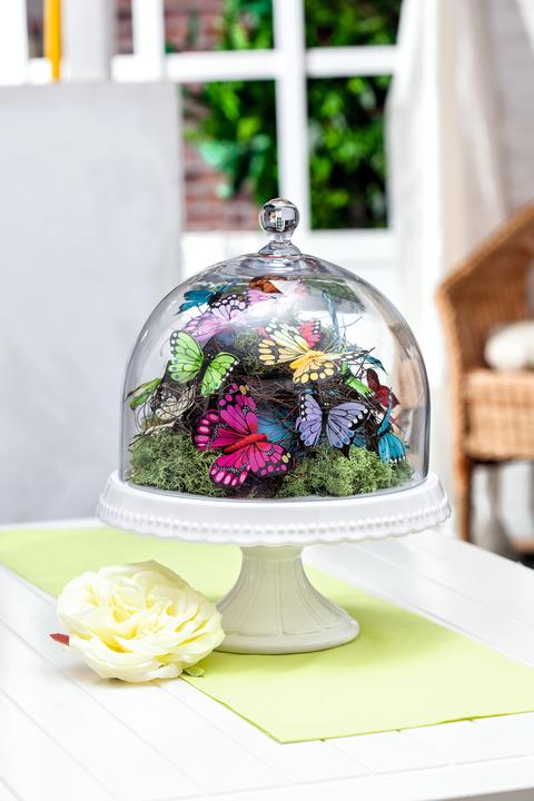 Actual product image Birkmann Glass cover