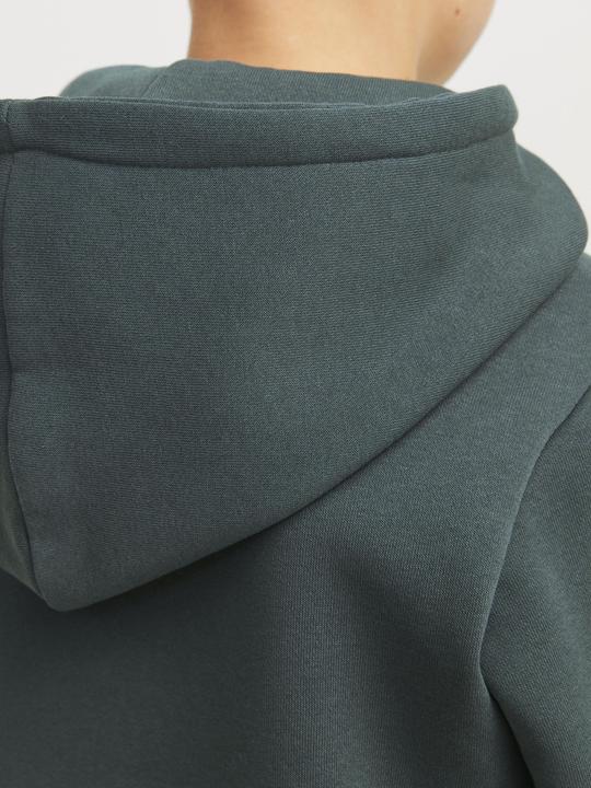 Actual product image Jack & Jones Gedruckt Kapuzenpullover Junior Kapuzenpullover (152)