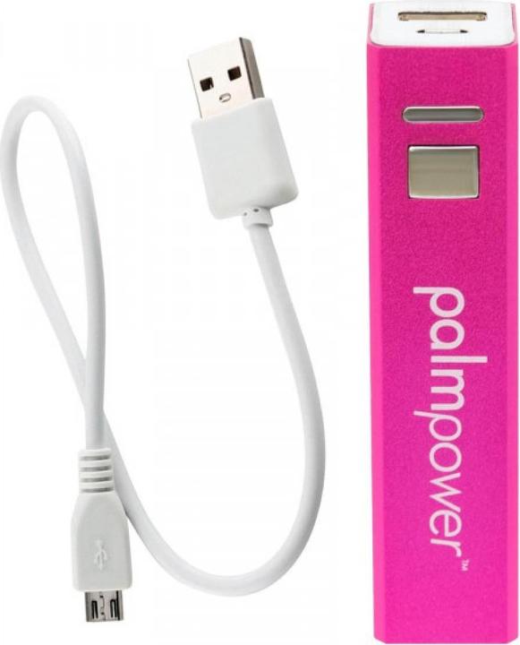 Image du produit Palmpower Appareil de massage