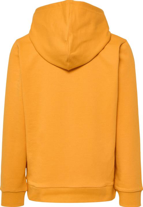 Image du produit hummel hmlCUATRO HOODIE (104)