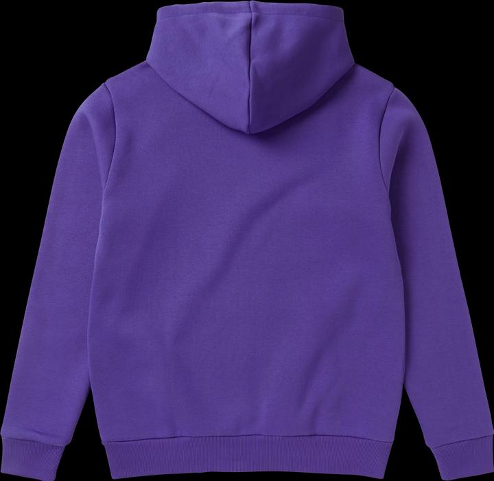 Actual product image Mystic Icon Hood Sweat (XL)