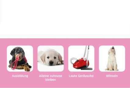Produktbild Adaptil Halsband Junior, verstellbar (Hund)
