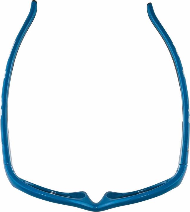 Actual product image ALPINA SPORTS Flexxy