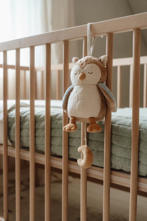 Produktbild Little Dutch Spieluhr Eule Forest Friends