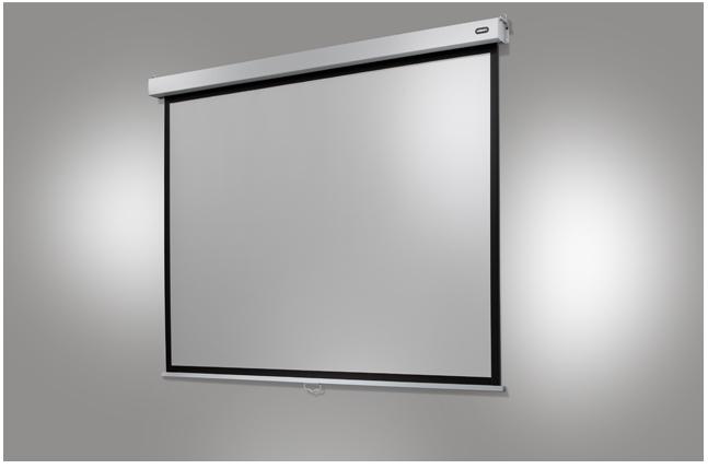 Celexon Rollo-Leinwand Professional Plus 300x225 cm 4:3 (122.83", 4:3)