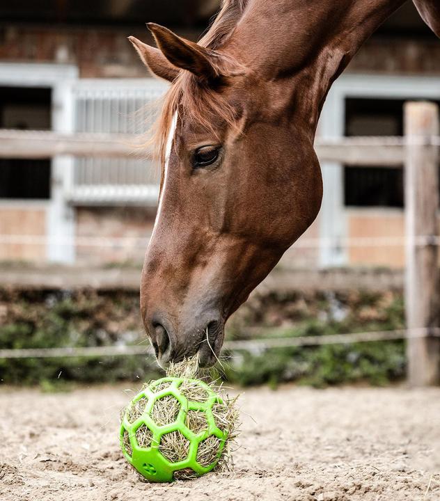 Produktbild Waldhausen Heuball