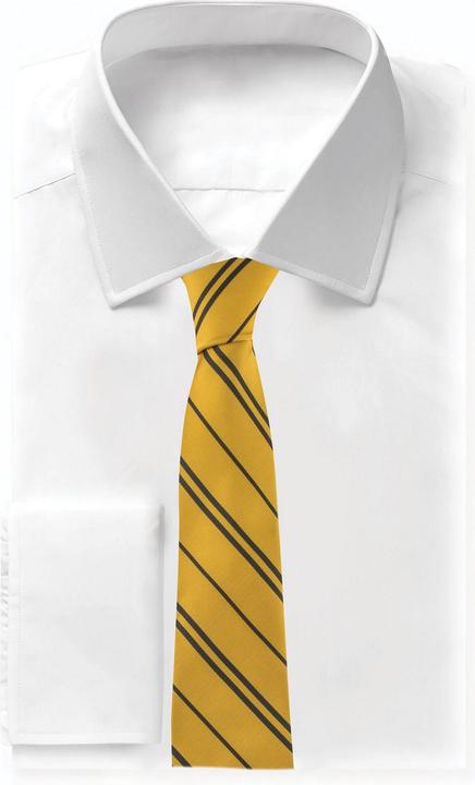 Image du produit Cinereplicas Harry Potter: Hufflepuff