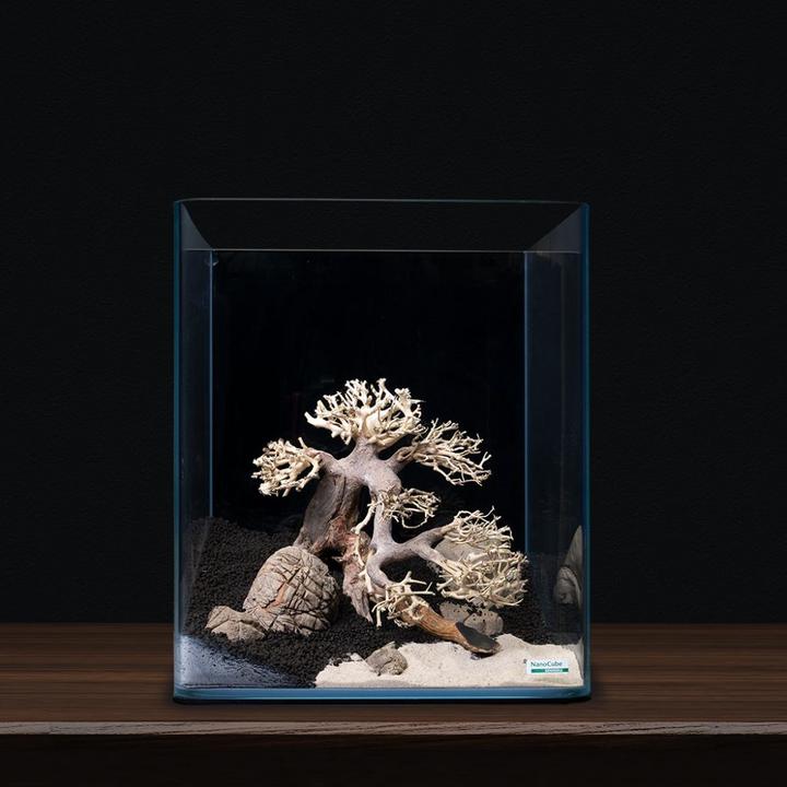 Actual product image Dennerle Decoration Bonsai Box (Embellishment, Tree)
