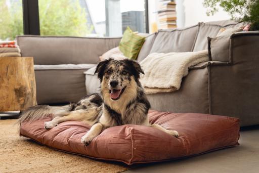 Actual product image Designed by Lotte Nalino (Dog)