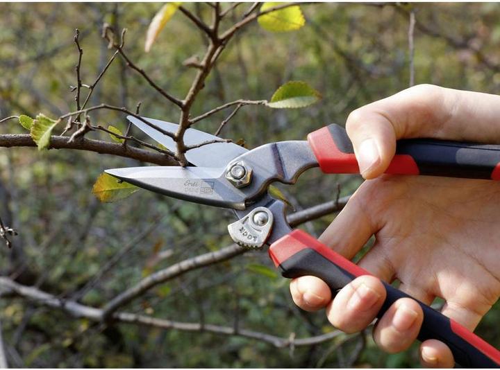 Actual product image Erdi Plate shears (200 mm)