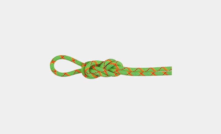 Produktbild Mammut 8.0 Alpine Core Protect Dry Rope (30 m)