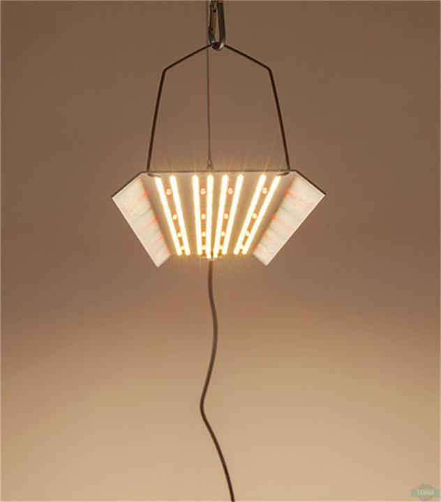 Immagine prodotto HortiOne Lampada LED 600 (LED)