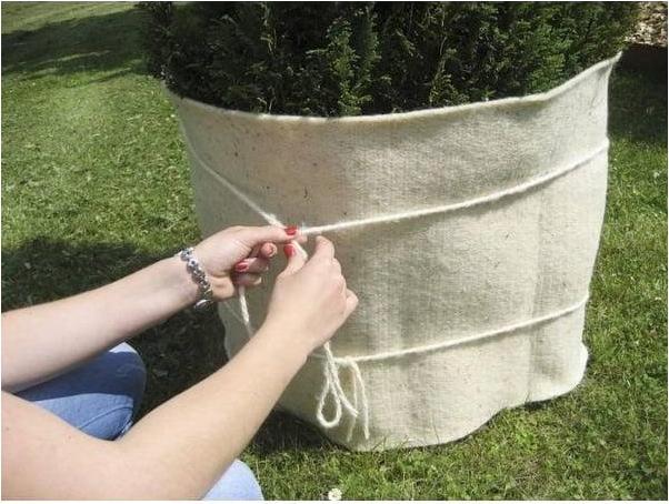 Immagine prodotto Windhager Corda di lana di pecora (1000 cm)