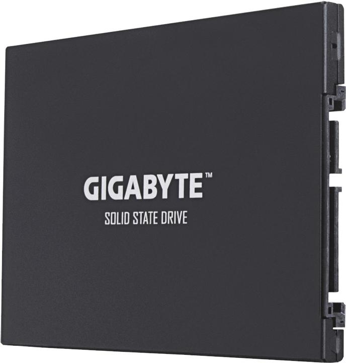 Image du produit Gigabyte GP-GSTFS30256GTTD (256 Go, 2.5")