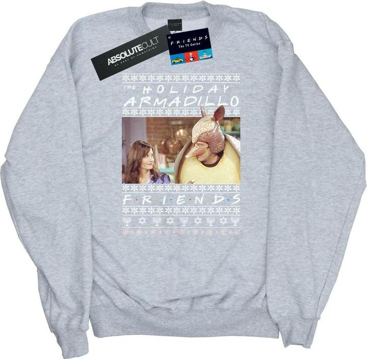 Friends Fair Isle Holiday Armadillo Sweatshirt