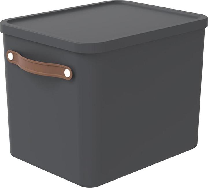 Actual product image Rotho Maloja (40 x 29 x 30 cm, 27 l)