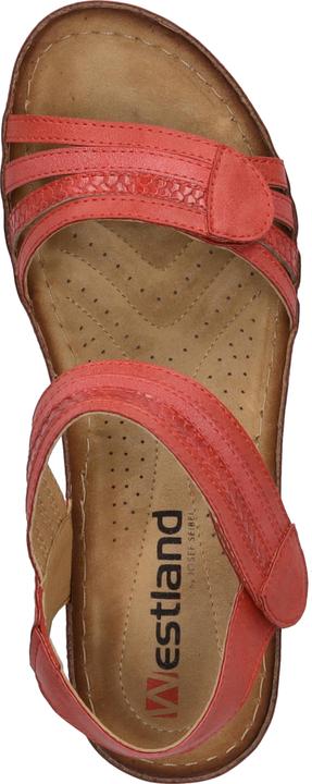 Immagine prodotto Westland 36603-82 (37)