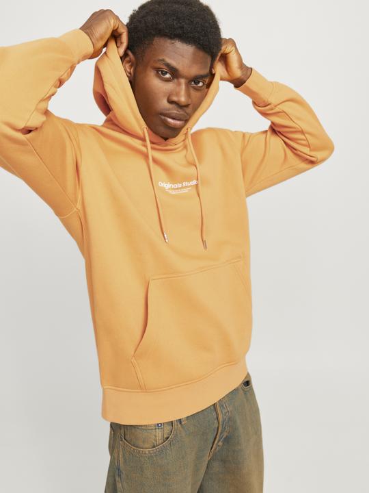 Immagine prodotto Jack & Jones Jorvesterbro Sweat Hood Noos (XXS)