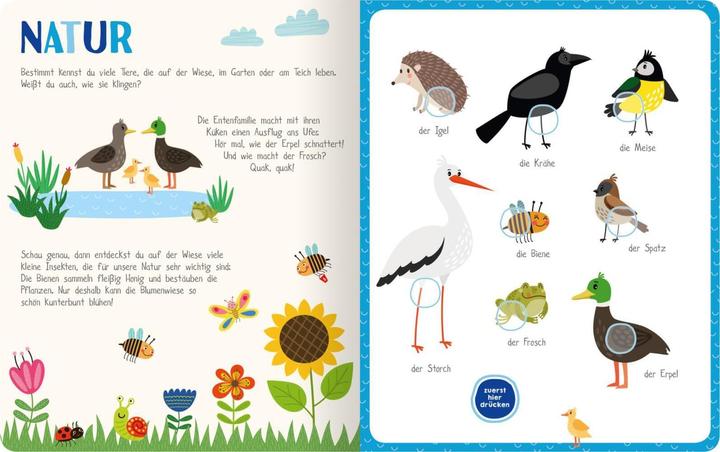 Actual product image Mein kunterbuntes Soundbuch - Tiere (German, 2019)