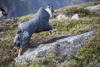 Actual product image Hurtta Extreme (50, Dog coat)