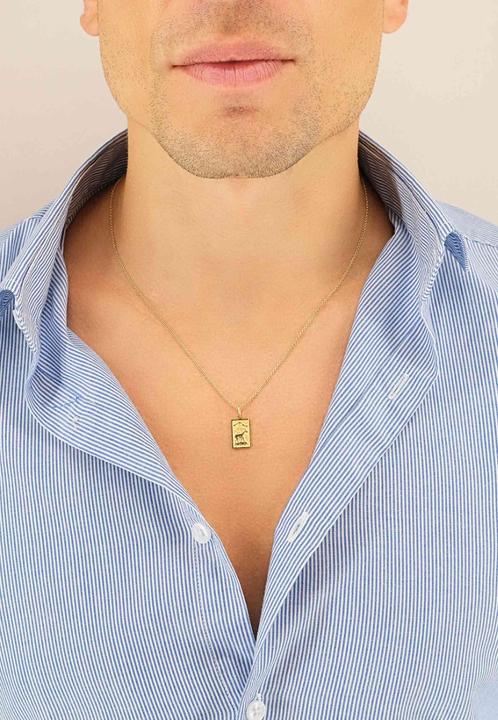 Produktbild Muau Steinbock (750/18K Gelbgold)